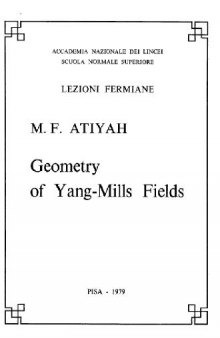 Geometry of Yang-Mills fields