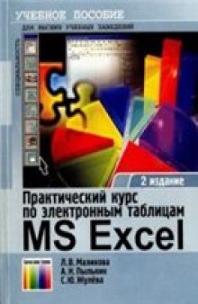 Практический курс по электронным таблицам MS Excel