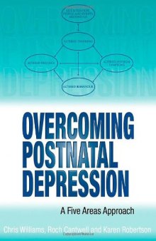 Overcoming Postnatal Depression A Five Areas Approach