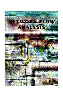 Network Flow Analysis 