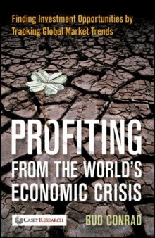 Profiting from the world's economic crisis : finding investment opportunities by tracking global market trends