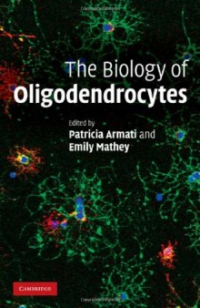 The Biology of Oligodendrocytes