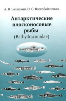 Антарктические плосконосовые рыбы (Bathydraconidae)