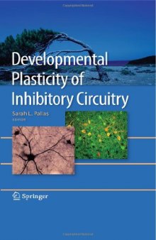 Developmental Plasticity of Inhibitory Circuitry