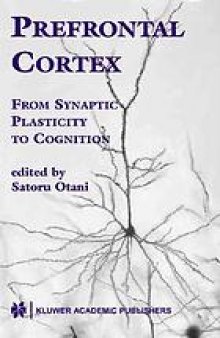 Prefrontal cortex : from synaptic plasticity to cognition