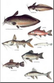 Longman's Illustrated Animal Encyclopedia - Рыбы