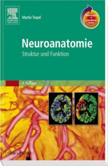 Neuroanatomie: Struktur und Funktion