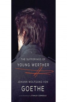 The Sufferings of Young Werther: A New Translation
