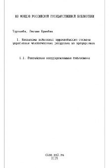 Механизмы повышения эффективности системы управления человеческими ресурсами на предприятии(Диссертация)