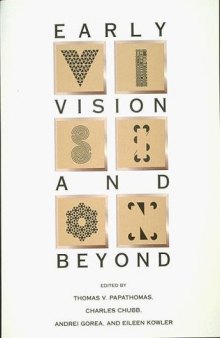 Early vision and beyond 