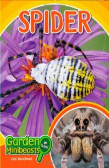 Spider (Garden Minibeasts Up Close)