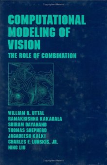 Computational Modeling of Vision: The Role of Combination