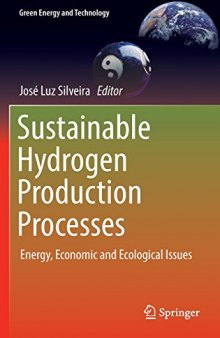 Sustainable Hydrogen Production Processes: Energy, Economic and Ecological Issues