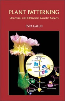 Plant Patterning: Structural and Molecular Genetic Aspects