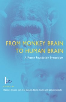 From Monkey Brain to Human Brain: A Fyssen Foundation  Symposium (Bradford Books)