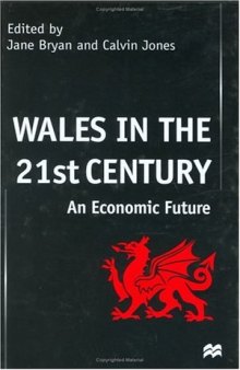 Wales in the Twenty-First Century (Macmillan Business) 