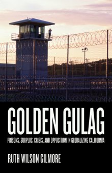 Golden gulag : prisons, surplus, crisis, and opposition in globalizing California